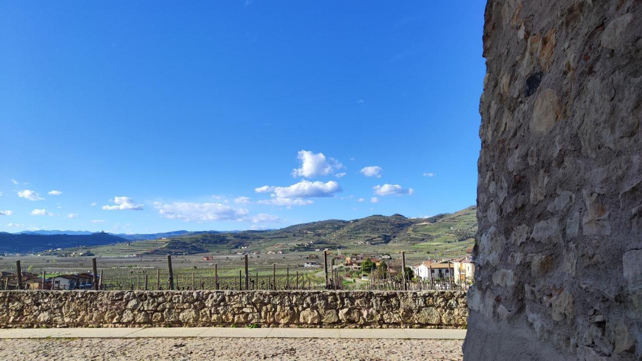 Stanza Allegra Soave Extérieur photo